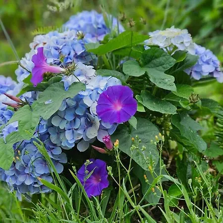 Seaview With Heated Private Pool 别墅